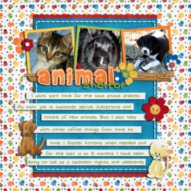 animal-shelter.jpg