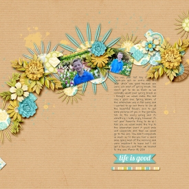 arboretum-left-copy.jpg