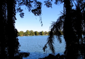 autmn_photo.jpg