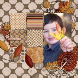 autumn-falling-web.jpg