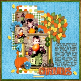 aux-citrouilles-20092.jpg