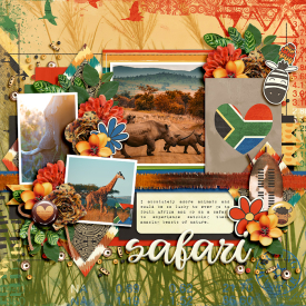 ayiwendyp-atwsouthafrica-LEA.jpg