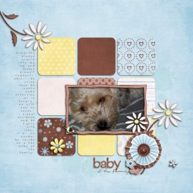 baby-of-the-family-web1.jpg