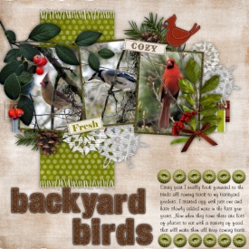 backyard_birds.jpg