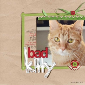 bad-kitty-web.jpg
