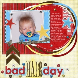 bad_hair_day_copysmallc.jpg