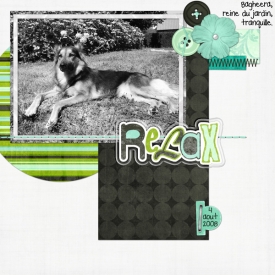 bagheera-relax.jpg