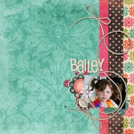 bailey1.jpg