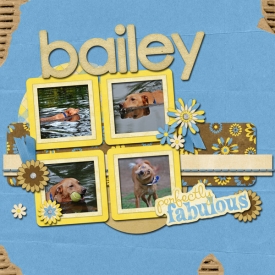 bailey2.jpg