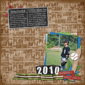 baseball2010p.jpg