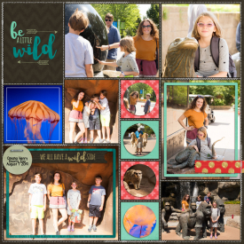 be-a-little-wild1.jpg