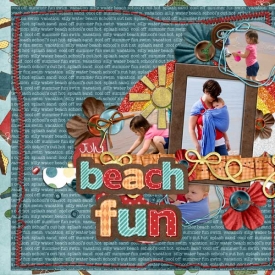 beach-fun-dec5cookieweb.jpg