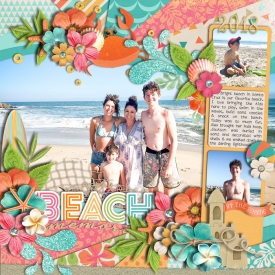 beach2018web.jpg