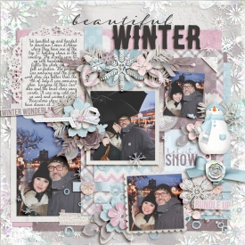 beautifulwinter2018web.jpg