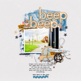 beepbeep5.jpg