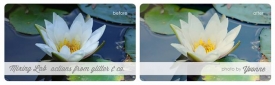 before-after-horizontal.jpg