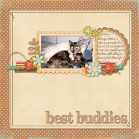 best_buddies1.jpg