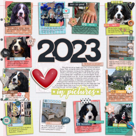 bg_2023inPictures-year-in-review-700.jpg