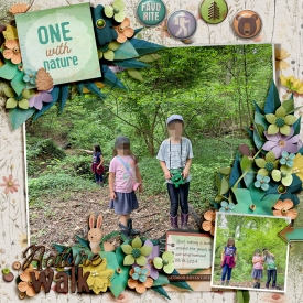 bg_happyhobby_naturewalks-fdd_RememberingOurSummer_LEA.jpg
