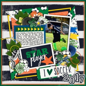 biggestfan2017web.jpg
