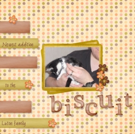 biscuit.jpeg