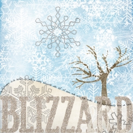 blizzard-2011web.jpg