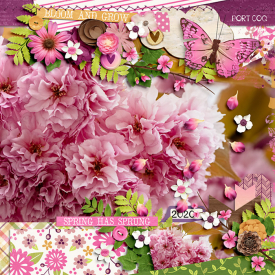 bloomandgrow-copy.jpg