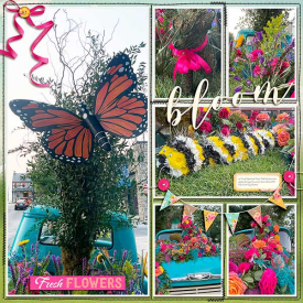 bloomflowers.jpg