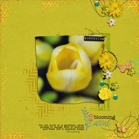 blooming-copy.jpg
