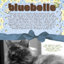 bluebelle-for-web.jpg