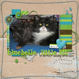 bluebelle-plus-littlebit.jpg