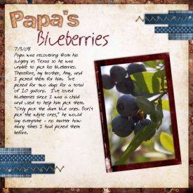 blueberries_copy.jpg