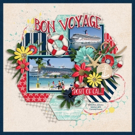 bonvoyage3.jpg