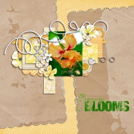 bringontheblooms-webcopy.jpg