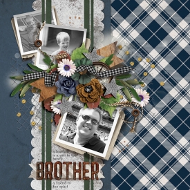 brotherhoodSSD.jpg