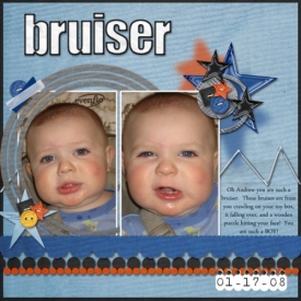 bruiser_small.jpg