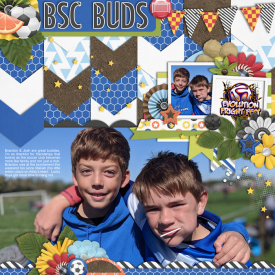 bsc-buds.jpg