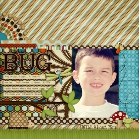 bug-web.jpg