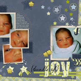 bundleofjoy.jpg