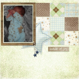 bundleofjoy1.jpg