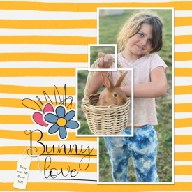 bunny-love-daisy.jpg