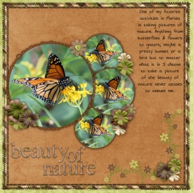 butterflies2.jpg