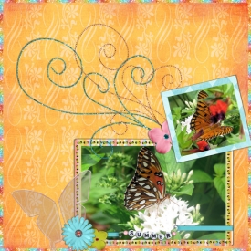 butterfly.jpg