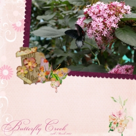 butterfly_creek_SSD.jpg