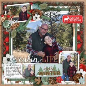 cabinlife2020web.jpg