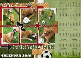 calendar_2010_teamforwin_small.jpg