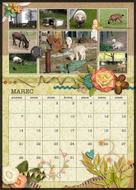 calendar_2011_kirchberg_03_small.jpg