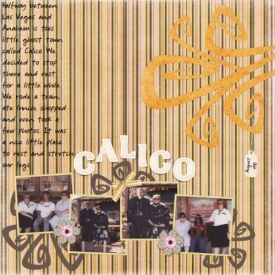 calico_500_x_500_.jpg