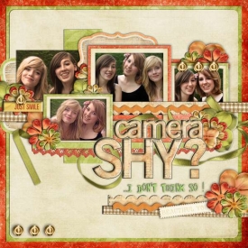 camerashy-templates102-pg3copy_1.jpg