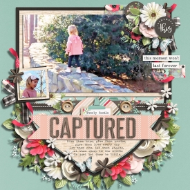 captured14.jpg